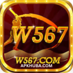 W567 Game
